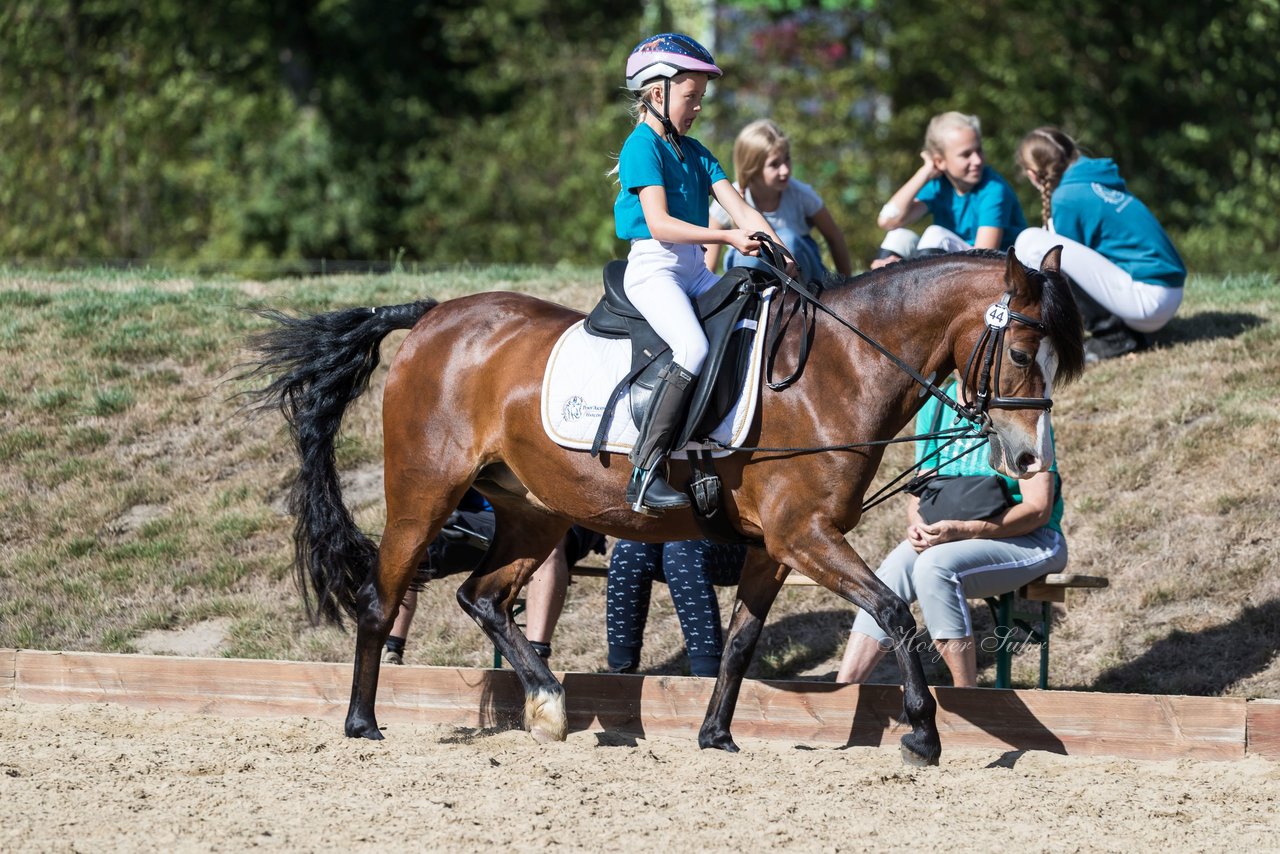 Bild 55 - Pony Akademie Turnier